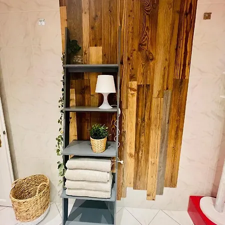 4 Personnes Avec Sauna 公寓 莱森