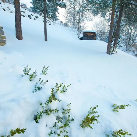 Lejlighed 4 Personnes Avec Sauna