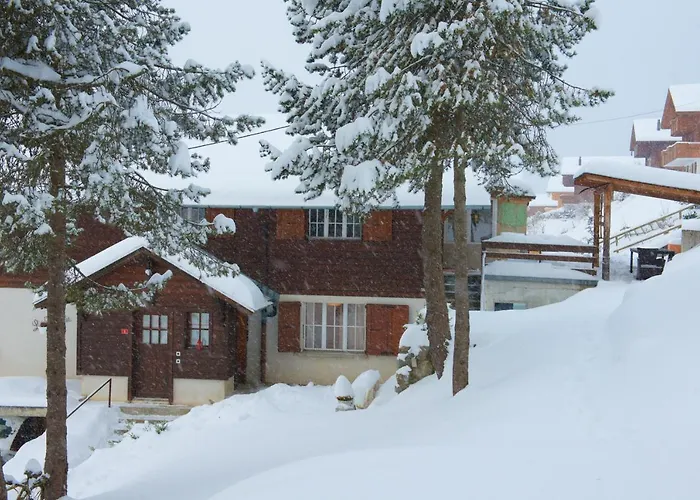 4 Personnes Avec Sauna Daire Leysin