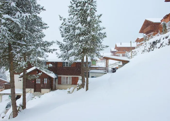 4 Personnes Avec Sauna Leysin